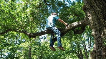 Funniest Tree Cutting Fails