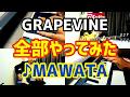 『MAWATA』from GRAPEVINE【バンドマン、ほぼ全部弾いてみた】