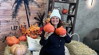 Отдых в Подмосковье 😍✨Русские сезоны в отеле «Пересвет» — уют, животные и вкусный ужин