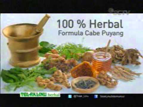 SCTV Tolak Linu Herbal 20 15