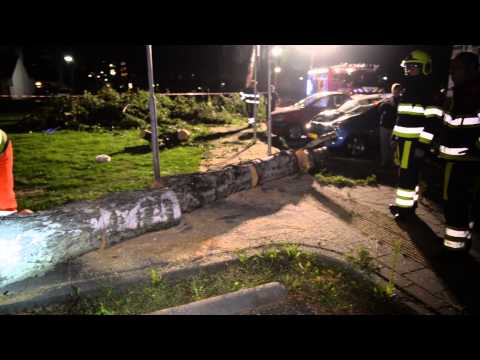 Boom valt op 5 autos Rustoord Reuver 24-8-2015