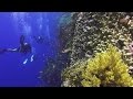 Dive safari St. John's Egypt