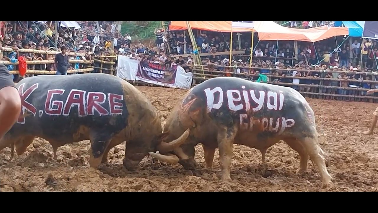 KAMPA GARE vs SWING DEYAI