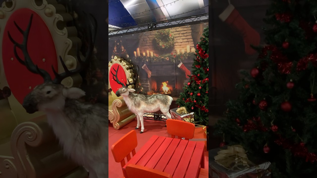 Are you ready for Christmas? 