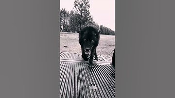 I see you ..... amazing