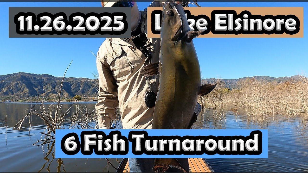 Lake Elsinore Redemption! 6 Fish & Big Channel Cat Surprise #lakeelsinorefishing #bassfishing