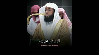 تلاوة مميزة😍 ~ #سورة_الفيل لفضيلة الشيخ #بدر_التركي