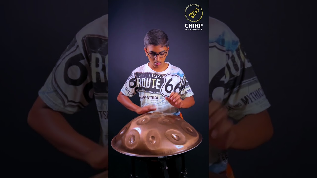 D Hijaz 12 Handpan by Chirp Handpans