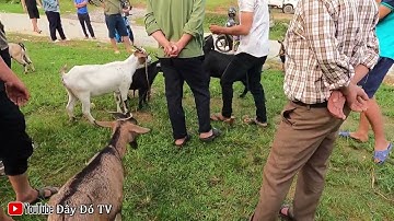 TRẢI NHIỆM KHÁM PHÁ CHỢ PHIÊN VÙNG CAO  - CHỢ TÂY BẮC CỐC LY VÀ  ĐIỂM NỔI BẬT