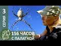 ⛺ 156 часов с палаткой: трудный переход, испытание жарой, пауки | серия #3