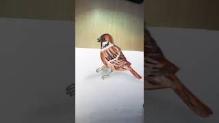 3D bird #bird #artshorts #art #artdrawing
