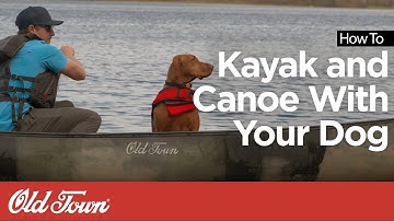 How to Canoe and Kayak With Your Dog