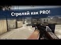 Как научиться стрелять в CS:GO? | Основные понятия