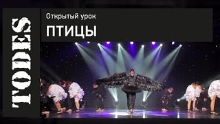 ОТКРЫТЫЙ УРОК ШКОЛ ТАНЦА АЛЛЫ ДУХОВОЙ «TODES». Номер: Птицы (Павелецкая) ОТКРЫТЫЙ УРОК ШКОЛ ТАНЦА АЛЛЫ ДУХОВОЙ «TODES». Номер: Птицы (Павелецкая)