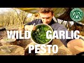 Woodsman's Wild Garlic Pesto | Spring Foraging