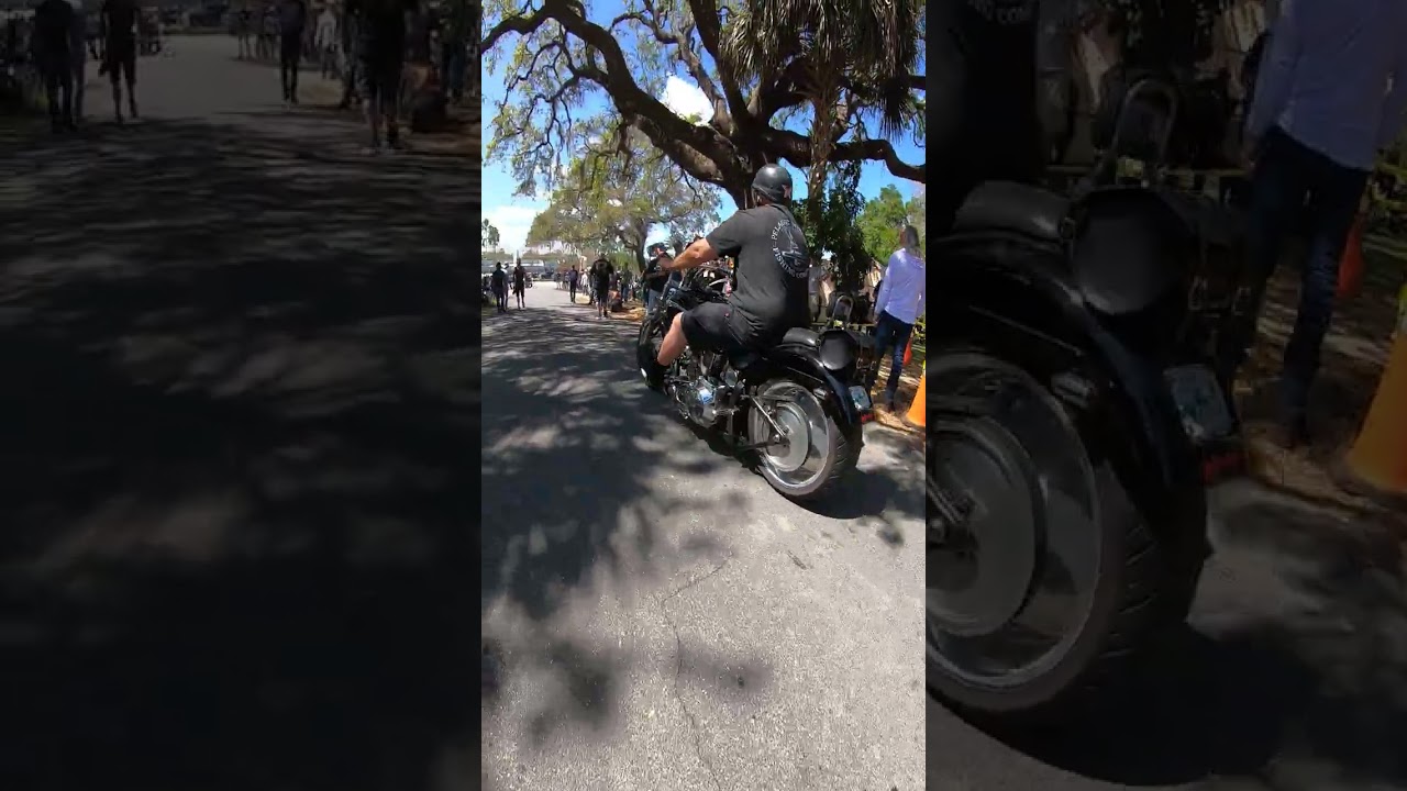 🤘Harley Davidsons Rock the Chopper Show 