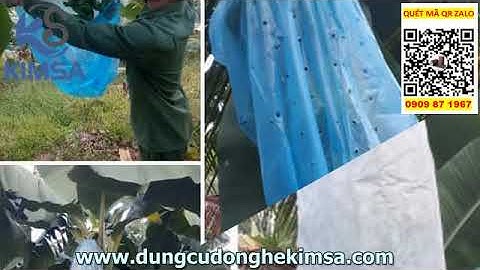 MUA BAO NI LÔNG TRÙM BUỒNG CHUỐI Ở ĐÂU GIÁ SỈ RẺ TP HCM