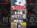 【APEX】悲報、海外ニキのライフライン専がキレる！？味方に絶対してほしい行動とは？【情報】　 #apexlegends
