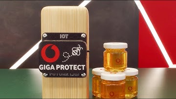 How our IoT Future Lab & Sustainability team in Germany are protecting bees with smart tech