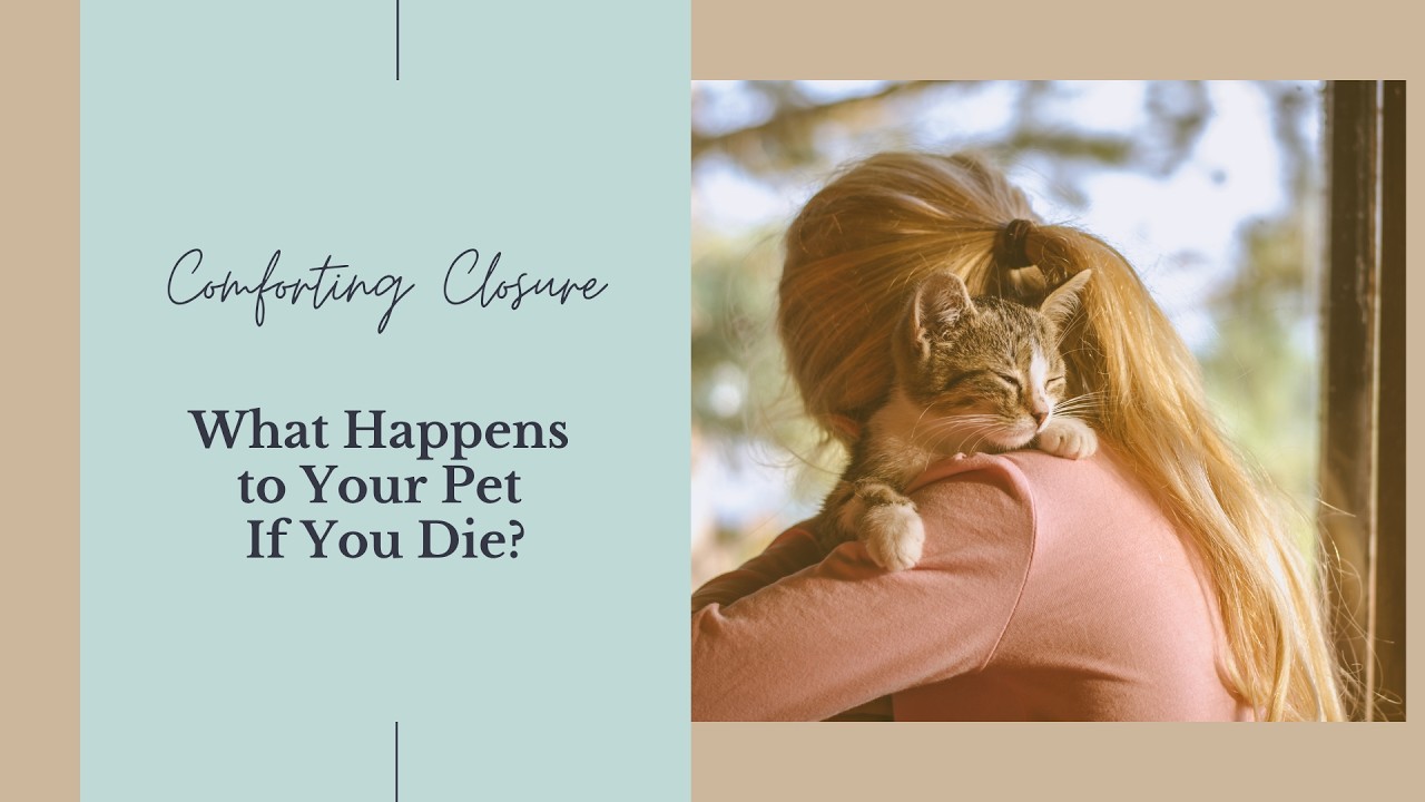 What Happens to Your Pet If You Die?
