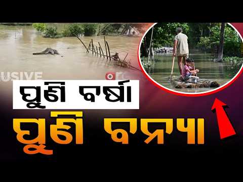 Odisha Flood Alert: Jalaka River Swells, Road Submerged in Athagarh & Major Breach in Bhadrak