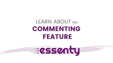 COMMENTING FEATURE:  Feature Overview For Page Commenting