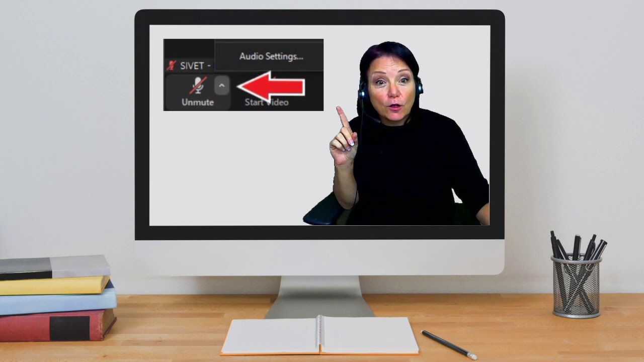 Contrôle du micro dans Zoom