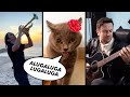The kiffness x alugalug cat 20  please go away flamenco edit ft spaul