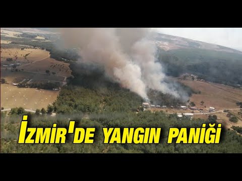 izmir de orman yangini cikti youtube