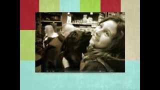 Best Year Ever - 2013 in Review
