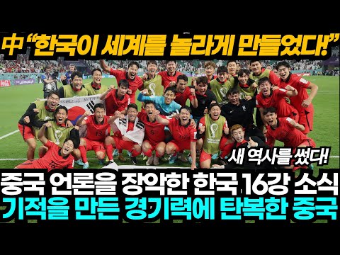 중국반응 한국이 세계를 놀라게 만들었다 포르투갈 꺾고 16강 기적을 만든 한국 축구에 탄복한 중국 