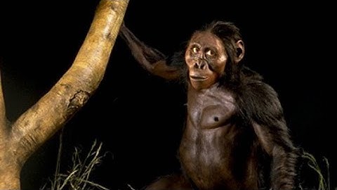Agogve - Čovjek Majmun iz Istočne Afrike