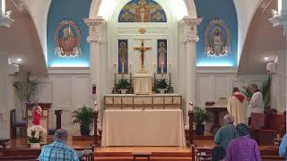 Mass- 12th Week of OT Wednesday (6/24/26)
