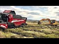 VLOG #5 | KURUTMA GÜNLÜKLERİ (LAVERDA M310 MCS-NEW HOLLAND TR6.120-CASE JX110-MASSEY FERGUSON 5440)