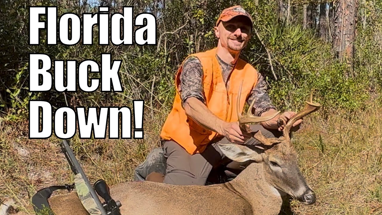 ВНИМАНИЕ ВО ФЛОРИДЕ! Общественные земли, сосны