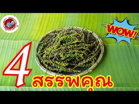 ต้านมะเร็งด้วยพริกไทย???...4 สรรพคุณที่น่าทึ่งของพริกไทย/ครัวเบา-หวาน