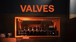 Get Valves VST for Free When You Try Loopcloud