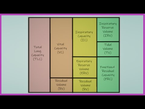 Lung Volumes And Capacities Chart