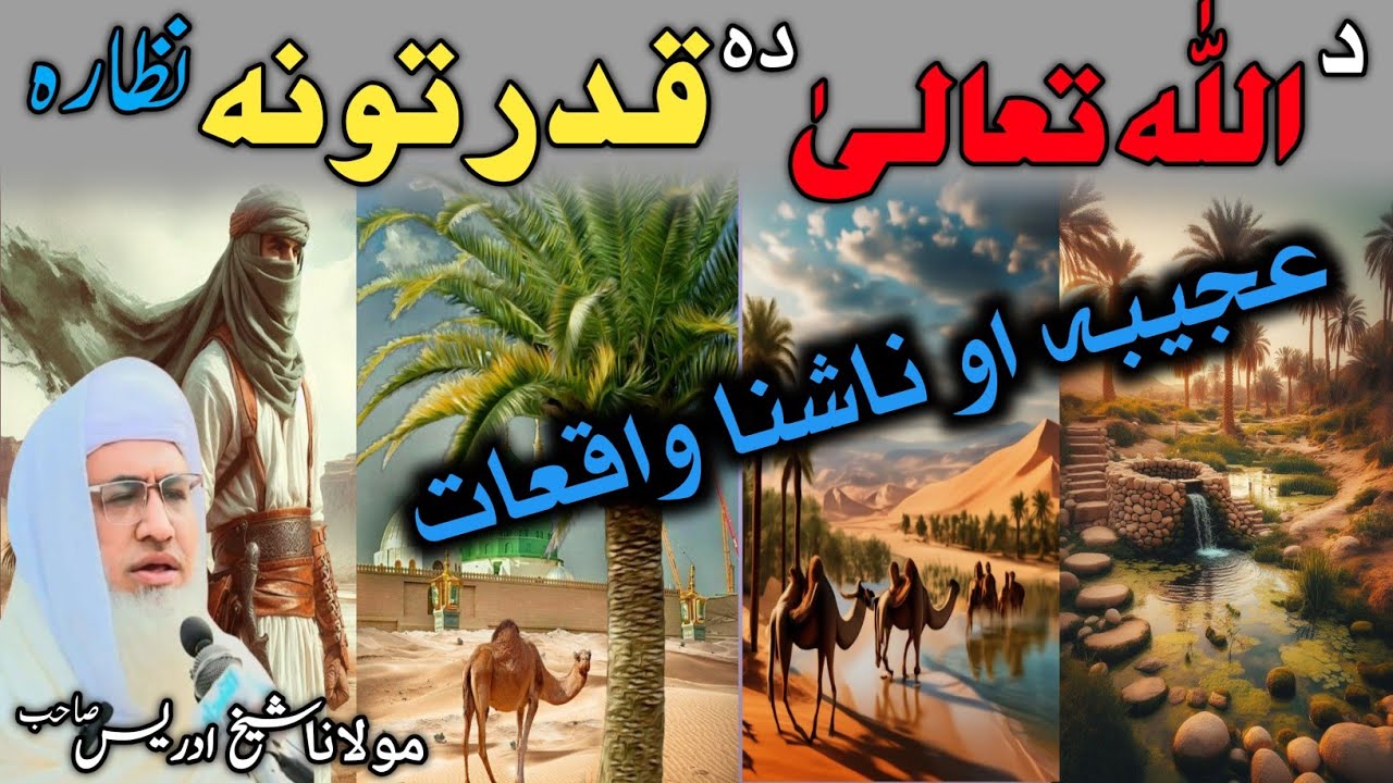 The Power of Allah  | قدرت کا نظام اور اللہ تعالیٰ کے عجیب و غریب واقعات | حضرت زیدؓ کا ایمان کا ذکر