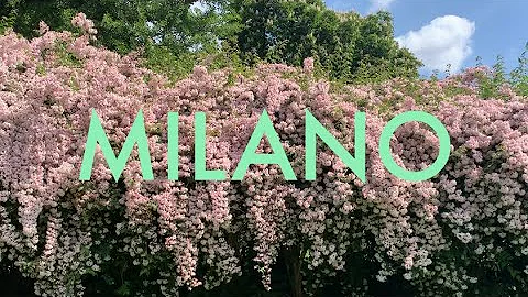 Dove fare un pic nic vicino a Milano?