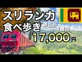 【食べ歩き旅】スリランカで1週間の滞在費17,000円/料理も激安でローカルフードとB級グルメは美味い