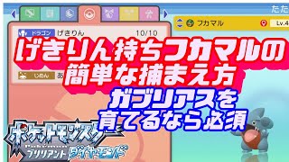 簡単にげきりん持ちフカマルを手に入れる方法 ポケモン ダイパリメイク Youtube