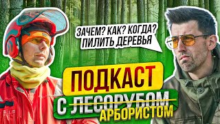 картинка: Расчистка участка от деревьев и кустов. Подкаст с лесорубом арбористом
