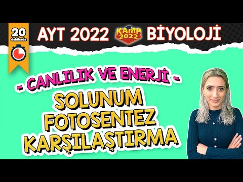 Video: Fotosentezin gerçekleşmesi için hangi hücresel solunum ürünleri gereklidir?