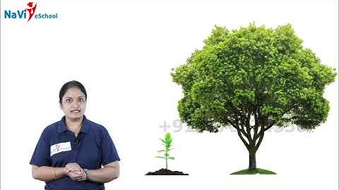 Class 2 Plants Of Backyard Evs Unit 3 Part 1