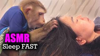 Judy The Monkey Asmr  Peaceful Scalp Grooming To Drift Off Fast