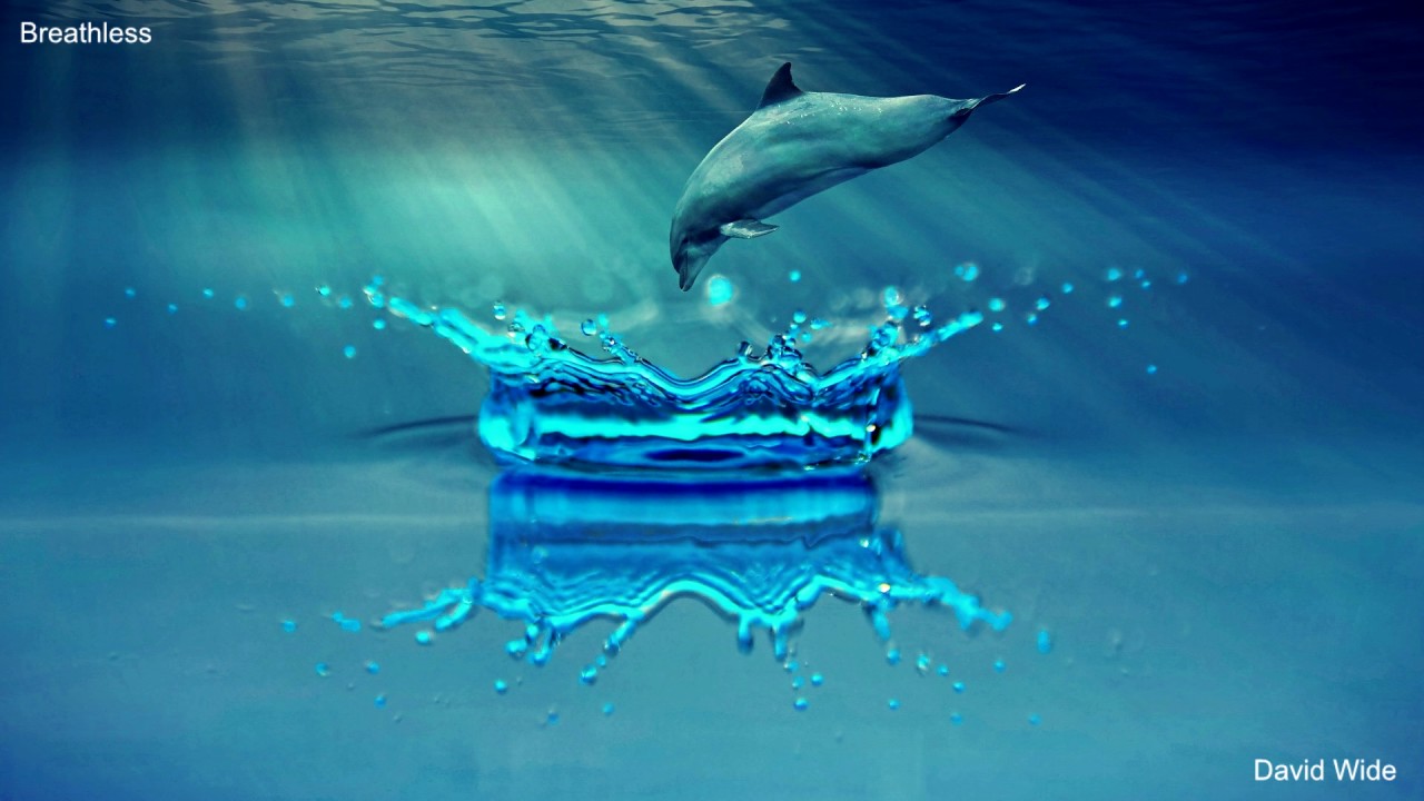 David Wide - Breathless (Audio only)