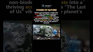 The Simulation Is Deleting Artificial Matter (Synthetic Override) 🍄 #abhyonix  #avinix #shorts