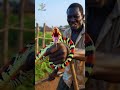 Coral Snake Venom Is Stronger Than You Think #shorts