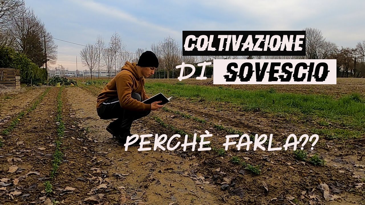 SOVESCIO nell'ORTO - La cosa MIGLIORE che puoi FARE!!!🌱🍀